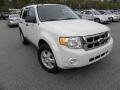 2010 White Suede Ford Escape XLT V6  photo #1