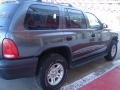 Graphite Metallic - Durango SXT 4x4 Photo No. 9