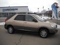 Light Driftwood Metallic 2004 Buick Rendezvous CXL