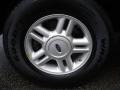 2003 Laser Red Tinted Metallic Ford Expedition Eddie Bauer  photo #7