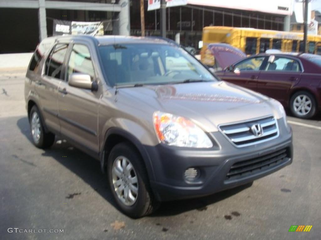 2005 CR-V EX 4WD - Sahara Sand Metallic / Ivory photo #6