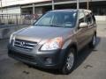 2005 Sahara Sand Metallic Honda CR-V EX 4WD  photo #8