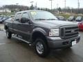 Dark Shadow Grey Metallic - F250 Super Duty XLT Crew Cab 4x4 Photo No. 6