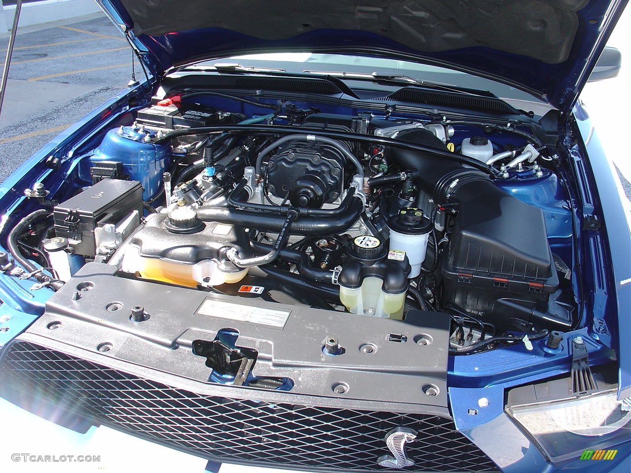 2007 Ford Mustang Shelby GT500 Coupe 5.4 Liter Supercharged DOHC 32-Valve V8 Engine Photo #27501