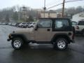 2004 Light Khaki Metallic Jeep Wrangler Sport 4x4  photo #6