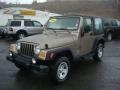 2004 Light Khaki Metallic Jeep Wrangler Sport 4x4  photo #10