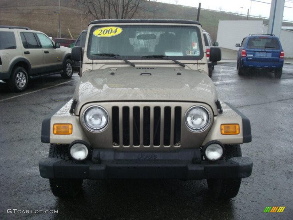 2004 Wrangler Sport 4x4 - Light Khaki Metallic / Dark Slate Gray photo #11