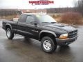 Black - Dakota SXT Club Cab 4x4 Photo No. 25