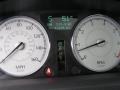 Cool Vanilla - 300 C HEMI Photo No. 15
