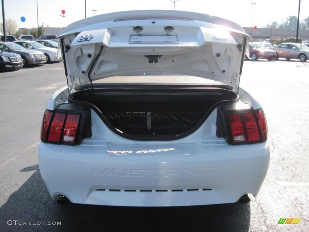 2002 Mustang GT Convertible - Oxford White / Medium Parchment photo #7