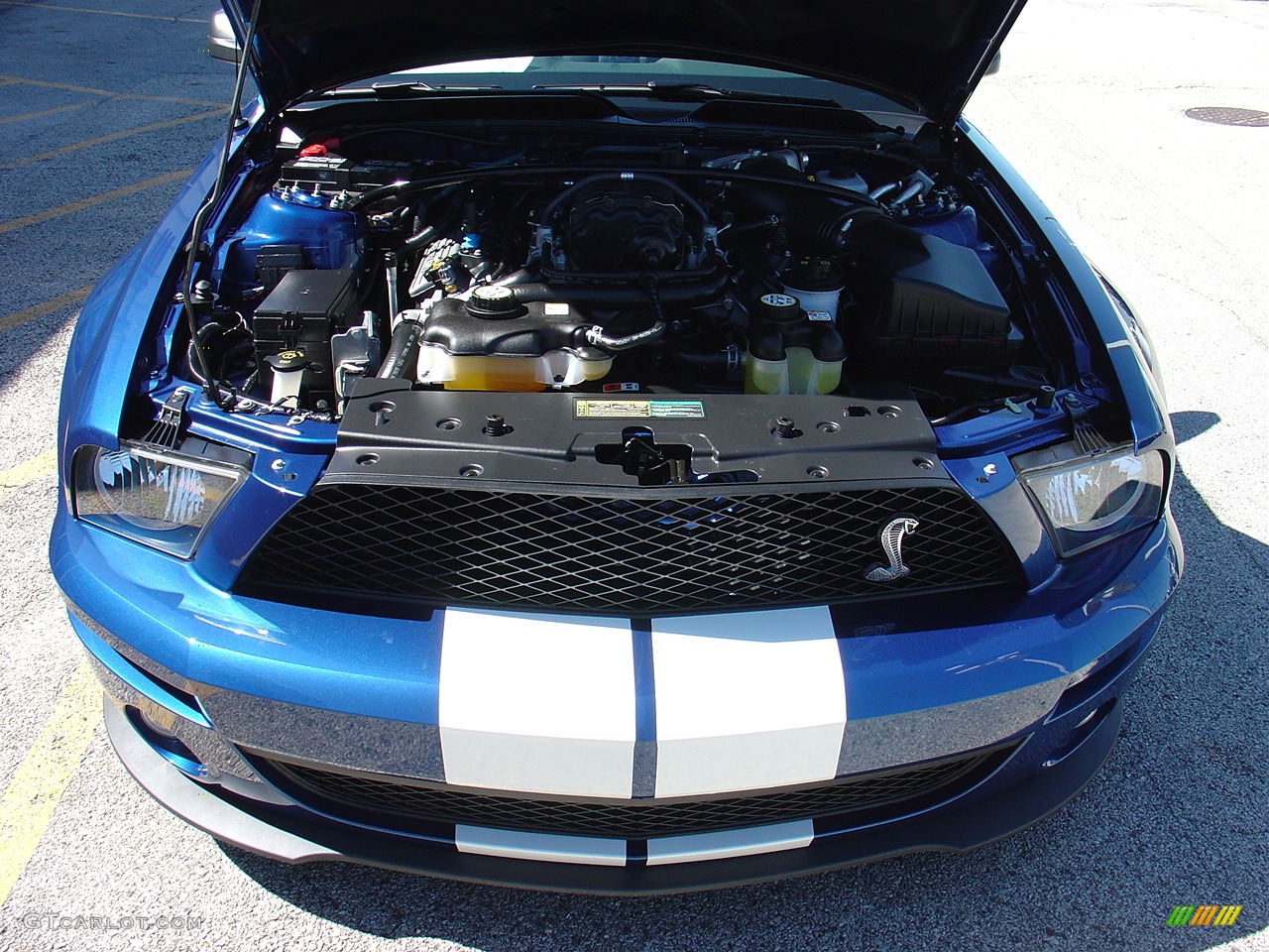 2007 Mustang Shelby GT500 Coupe - Vista Blue Metallic / Black Leather photo #35