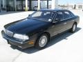 Super Black - Q 45 Photo No. 2