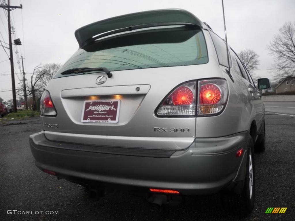 2001 RX 300 AWD - Millennium Silver Metallic / Black photo #16