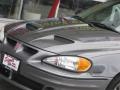 Graystone Metallic - Grand Am GT Coupe Photo No. 9
