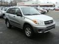 Titanium Metallic - RAV4 4WD Photo No. 3
