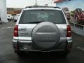 Titanium Metallic - RAV4 4WD Photo No. 5