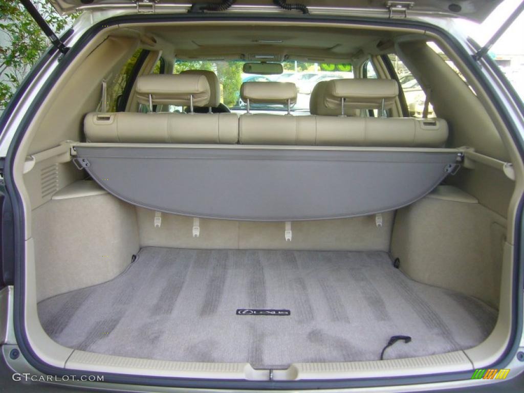 2000 RX 300 AWD - Burnished Gold Metallic / Ivory photo #20