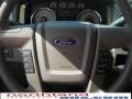 2010 Blue Flame Metallic Ford F150 XLT SuperCrew 4x4  photo #19