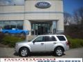 2009 Brilliant Silver Metallic Ford Escape XLT V6 4WD  photo #1