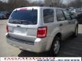 2009 Brilliant Silver Metallic Ford Escape XLT V6 4WD  photo #6