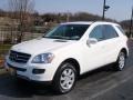 Alabaster White - ML 350 4Matic Photo No. 1