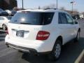 Alabaster White - ML 350 4Matic Photo No. 18