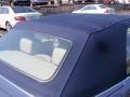 2003 Steel Blue Metallic BMW 3 Series 325i Convertible  photo #55