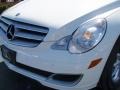 Alabaster White - R 350 4Matic Photo No. 5