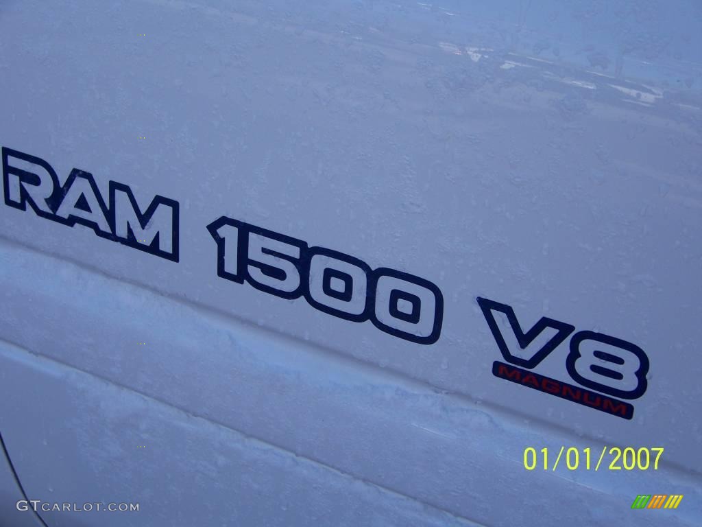 1999 Ram 1500 SLT Regular Cab 4x4 - Bright White / Mist Gray photo #20