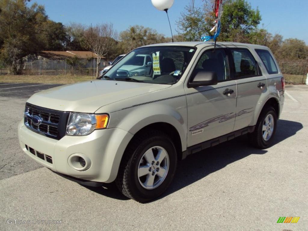 Light Sage Metallic Ford Escape