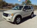 2008 Light Sage Metallic Ford Escape XLS  photo #1