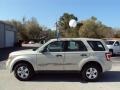 2008 Light Sage Metallic Ford Escape XLS  photo #2