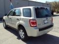 2008 Light Sage Metallic Ford Escape XLS  photo #3