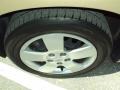 Sandstone Metallic - HHR LS Photo No. 15