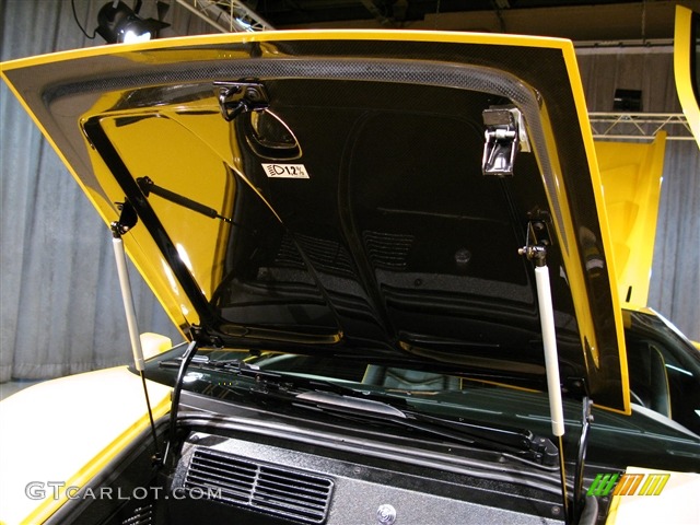 2001 Lamborghini Diablo 6.0 Trunk Photo #275345