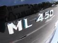 2010 Black Mercedes-Benz ML 450 Hybrid 4Matic  photo #23
