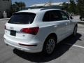 2009 Ibis White Audi Q5 3.2 Premium quattro  photo #19
