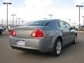 Golden Pewter Metallic - Malibu LS Sedan Photo No. 9