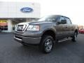 2007 Dark Shadow Grey Metallic Ford F150 XLT SuperCrew 4x4  photo #6