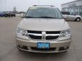 2009 Light Sandstone Metallic Dodge Journey R/T  photo #2