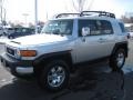 Titanium Metallic - FJ Cruiser 4WD Photo No. 6