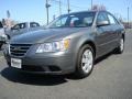 Willow Gray - Sonata GLS Photo No. 1