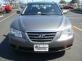 Willow Gray - Sonata GLS Photo No. 9