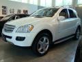 Alabaster White - ML 350 4Matic Photo No. 1