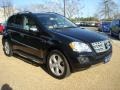 2009 Black Mercedes-Benz ML 320 BlueTec 4Matic  photo #9