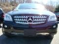 Black - ML 350 4Matic Photo No. 2