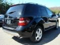 Black - ML 350 4Matic Photo No. 5