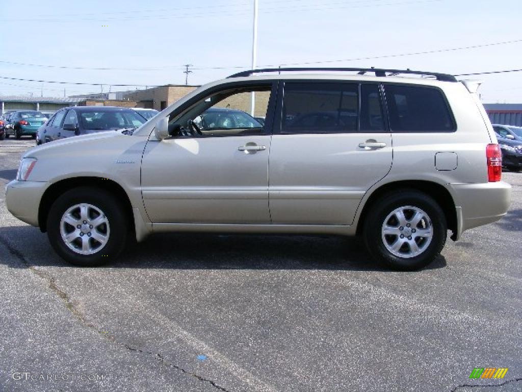 2002 Highlander Limited - Vintage Gold Metallic / Ivory photo #6