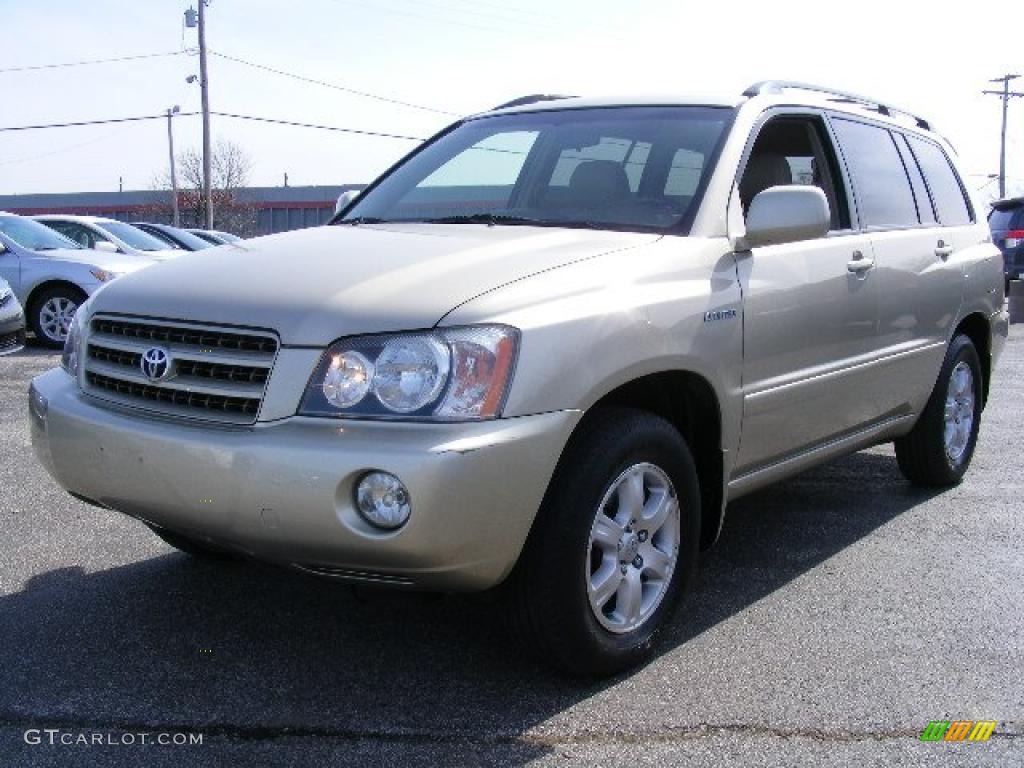 2002 Highlander Limited - Vintage Gold Metallic / Ivory photo #7