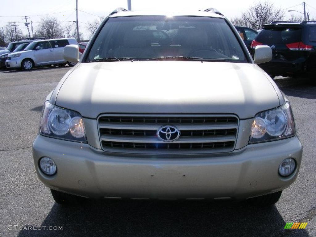 2002 Highlander Limited - Vintage Gold Metallic / Ivory photo #8